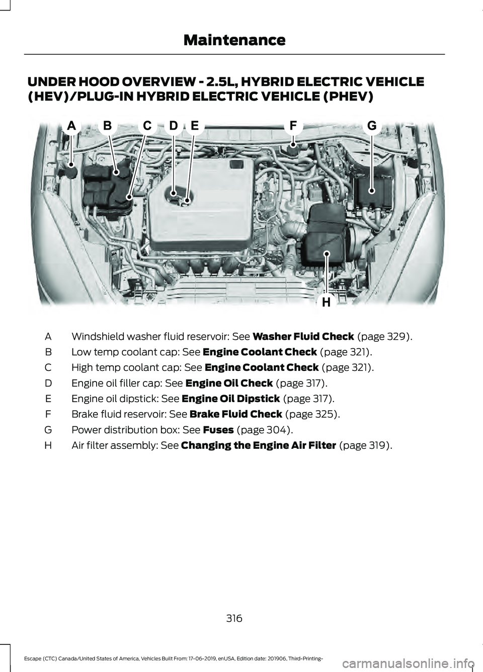 FORD ESCAPE 2020  Owners Manual UNDER HOOD OVERVIEW - 2.5L, HYBRID ELECTRIC VEHICLE
(HEV)/PLUG-IN HYBRID ELECTRIC VEHICLE (PHEV)
Windshield washer fluid reservoir: See Washer Fluid Check (page 329).
A
Low temp coolant cap:
 See Engi