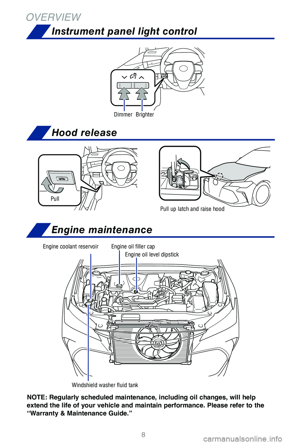 TOYOTA AVALON HYBRID 2020  Owners Manual (in English) 8
OVERVIEW
NOTE: Regularly scheduled maintenance, including  oil changes, will help 
extend the life of your vehicle and maintain performance. Please refer to the 
“Warranty & Maintenance Guide.”
