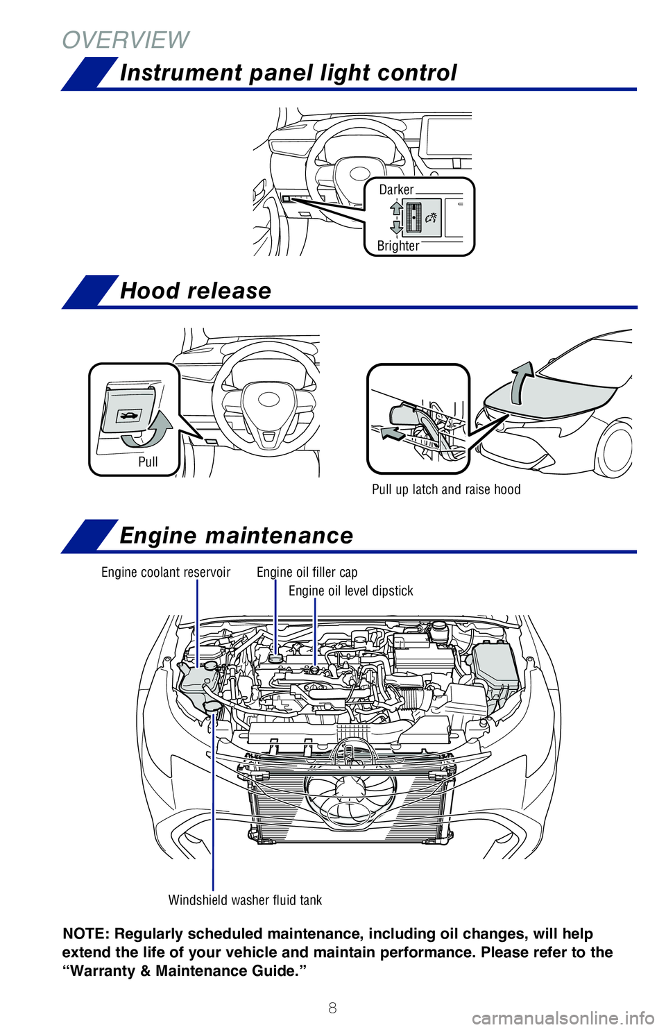 TOYOTA COROLLA HATCHBACK 2019  Owners Manual (in English) 8
OVERVIEW
Darker
Brighter
Instrument panel light control
NOTE: Regularly scheduled maintenance, including  
oil changes, will help 
extend the life of your vehicle and maintain performance. Please re