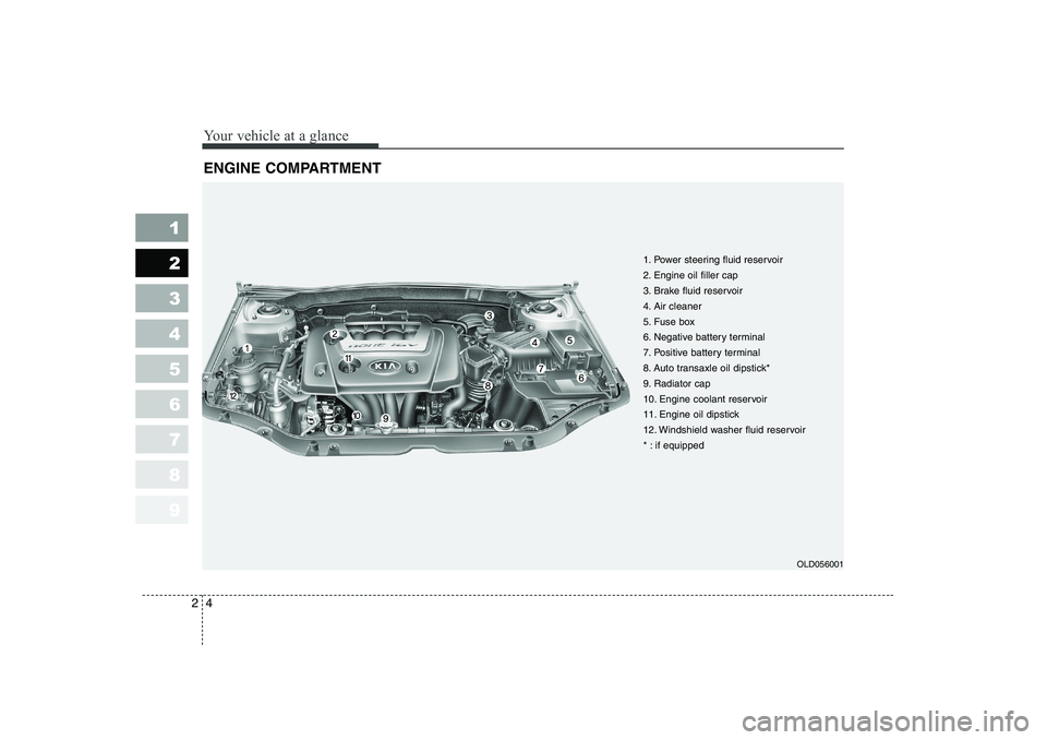 KIA CERATO 2007  Owners Manual Your vehicle at a glance
4
2
1 23456789
ENGINE COMPARTMENT 
OLD056001
1. Power steering fluid reservoir 
2. Engine oil filler cap
3. Brake fluid reservoir
4. Air cleaner
5. Fuse box
6. Negative batter