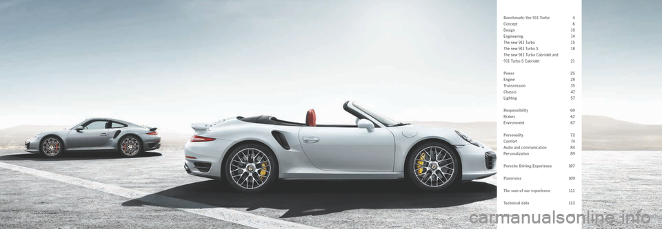 PORSCHE 911 TURBO 2013 6.G Information Manual A 
Adaptive Cruise Control including Porsche 
Active Safe (PAS) 81
Airbags   66
Anti-theft protection  80
Auto Start Stop function  33
B 
Bi-Xenon™ headlights including Porsche 
Dynamic Light System