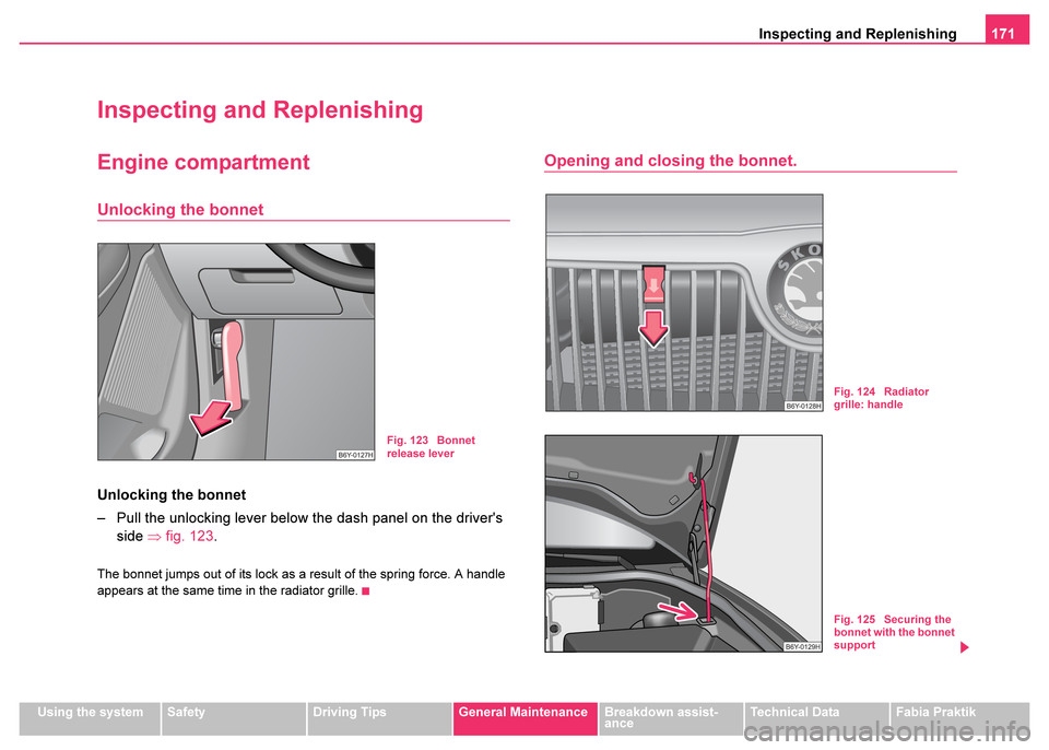 SKODA FABIA 2003 1.G / 6Y Owners Manual Inspecting and Replenishing171
Using the systemSafetyDriving TipsGeneral MaintenanceBreakdown assist-
anceTechnical DataFabia Praktik
Inspecting and Replenishing
Engine compartment
Unlocking the bonne