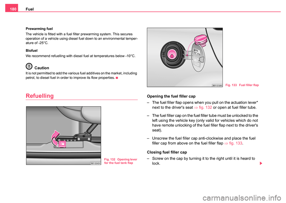 SKODA FABIA 2004 1.G / 6Y Owners Manual Fuel
180
Prewarming fuel
The vehicle is fitted with a fuel filter prewarming system. This secures 
operation of a vehicle using diesel fuel down to an environmental temper-
ature of -25°C.
Biofuel
We