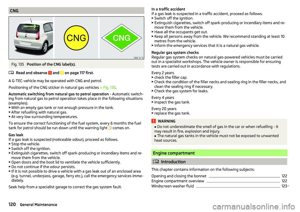 SKODA CITIGO 2017  Owners Manual CNGFig. 135 
Position of the CNG label(s).
Read and observe 
 and  on page 117 first.
A G-TEC-vehicle may be operated with CNG and petrol.
Positioning of the CNG sticker in natural gas vehicles  » Fi