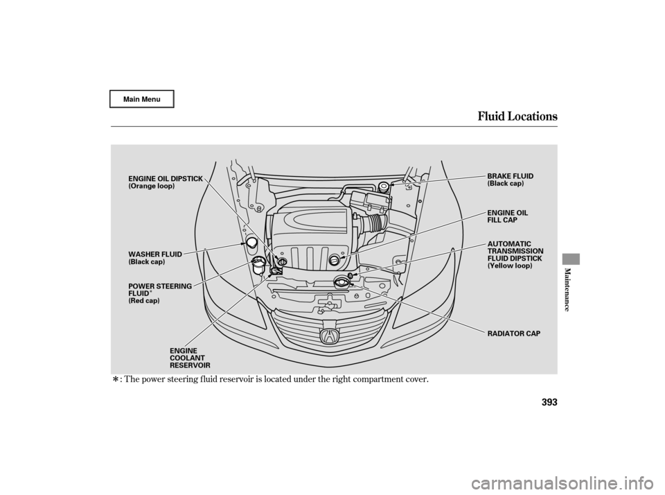 Acura RL 2007  Owners Manual Î
Î: The power steering f luid reservoir is located under the right compartment cover.
Fluid Locations
Maint enance
393
RADIATOR CAP
ENGINE OIL
FILL CAP
ENGINE OIL DIPSTICK
(Orange loop)
AUTOMATIC