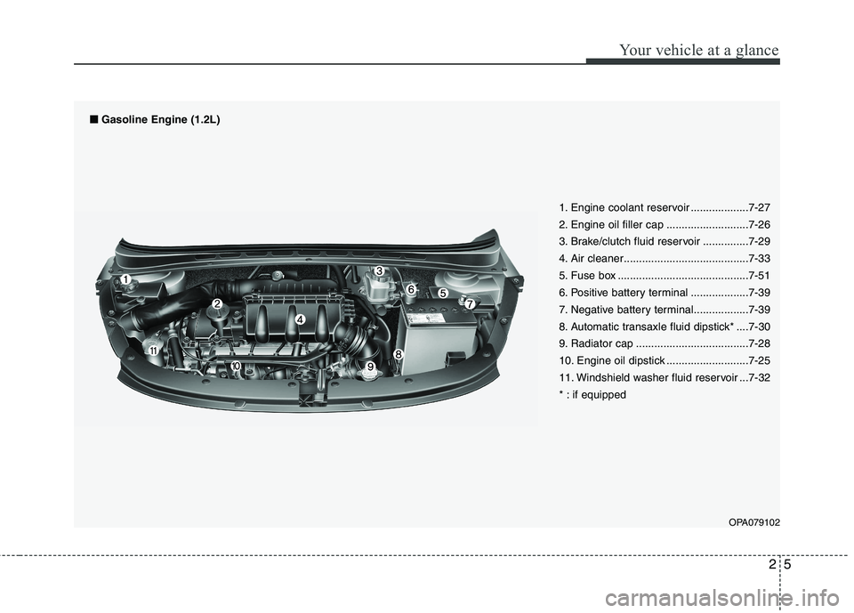 HYUNDAI I10 2008  Owners Manual 25
Your vehicle at a glance
1. Engine coolant reservoir ...................7-27 
2. Engine oil filler cap ...........................7-26
3. Brake/clutch fluid reservoir ...............7-29
4. Air cle