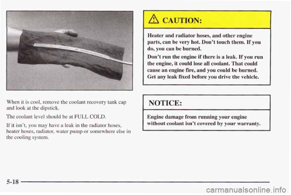 PONTIAC FIREBIRD 1998  Owners Manual When it is  cool,  remove  the  coolant  recovery  tank  cap 
and look  at  the  dipstick. 
The  coolant  level  should  be  at 
FULL COLD. 
If it isnt,  you  may  have  a  leak  in  the  radiator  h