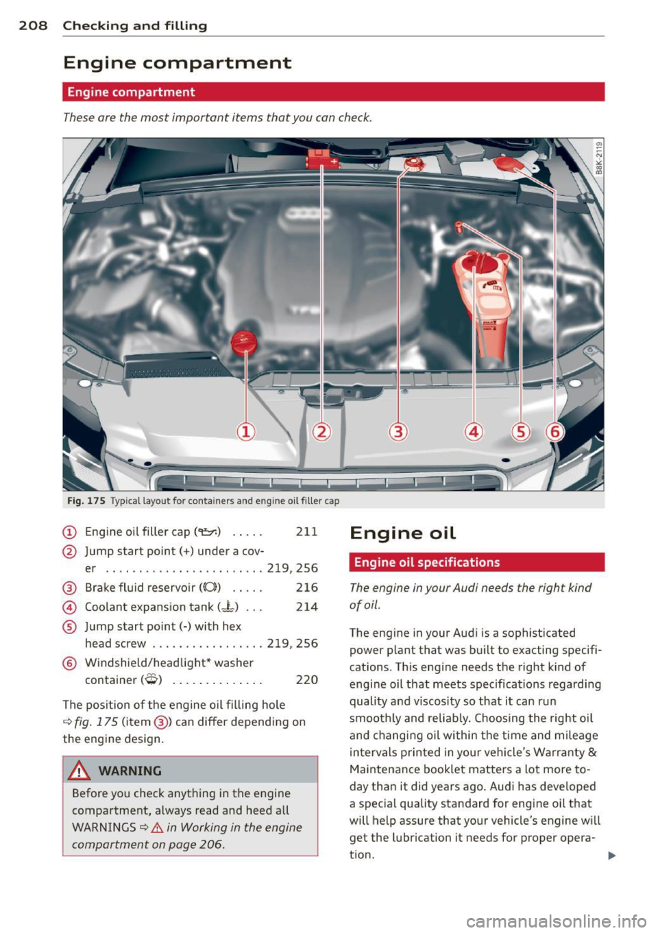 AUDI A5 CABRIOLET 2014  Owners Manual 208  Checking  and  filling 
Engine  compartment 
Engine compartment 
These are  the  most  important  items  that  you  can check. 
Fig . 17 5 Typical  layout  for  containers  and  eng ine  o il fil