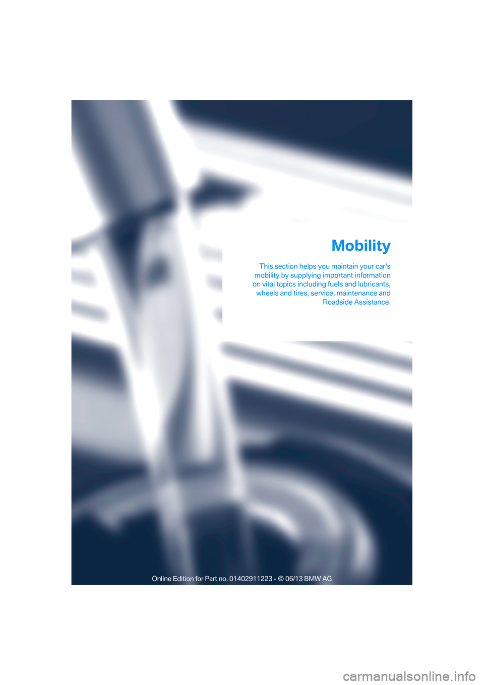 BMW 1 SERIES 2013 E82 Owners Manual This section helps you maintain your cars
mobility by supplying important information
on vital topics including  fuels and lubricants,
wheels and tires, serv ice, maintenance and
Roadside Assistance.