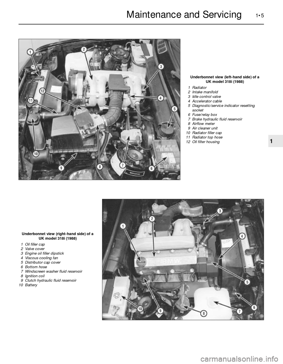 BMW 3 SERIES 1991 E30 Workshop Manual 1•5
Underbonnet view (left-hand side) of a 
UK model 318i (1988)
1  Radiator
2  Intake manifold
3  Idle control valve
4  Accelerator cable
5  Diagnostic/service indicator resetting
socket
6  Fuse/re
