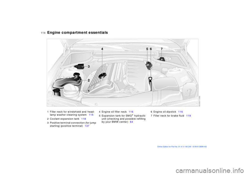 BMW M3 CONVERTIBLE 2002 E46 Owners Manual 114n
Engine compartment essentials1 Filler neck for windshield and
head-
lamp washer cleaning system115
2 Coolant expansion tank118
3 Positive terminal connection (for jump
starting) (positive ter BMW M3 CONVERTIBLE 2002 E46 Owners Manual 114n
Engine compartment essentials1 Filler neck for windshield and
head-
lamp washer cleaning system115
2 Coolant expansion tank118
3 Positive terminal connection (for jump
starting) (positive ter