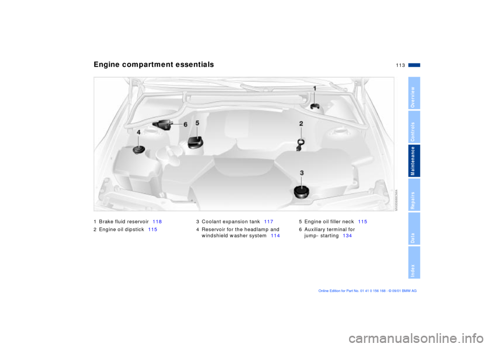 BMW 320i SEDAN 2002 E46 Owners Manual 113n
OverviewControlsMaintenanceRepairsDataIndex
Engine compartment essentials1 Brake fluid reservoir118
2 Engine oil dipstick1153 Coolant expansion tank117
4 Reservoir for the headlamp and 
windshiel