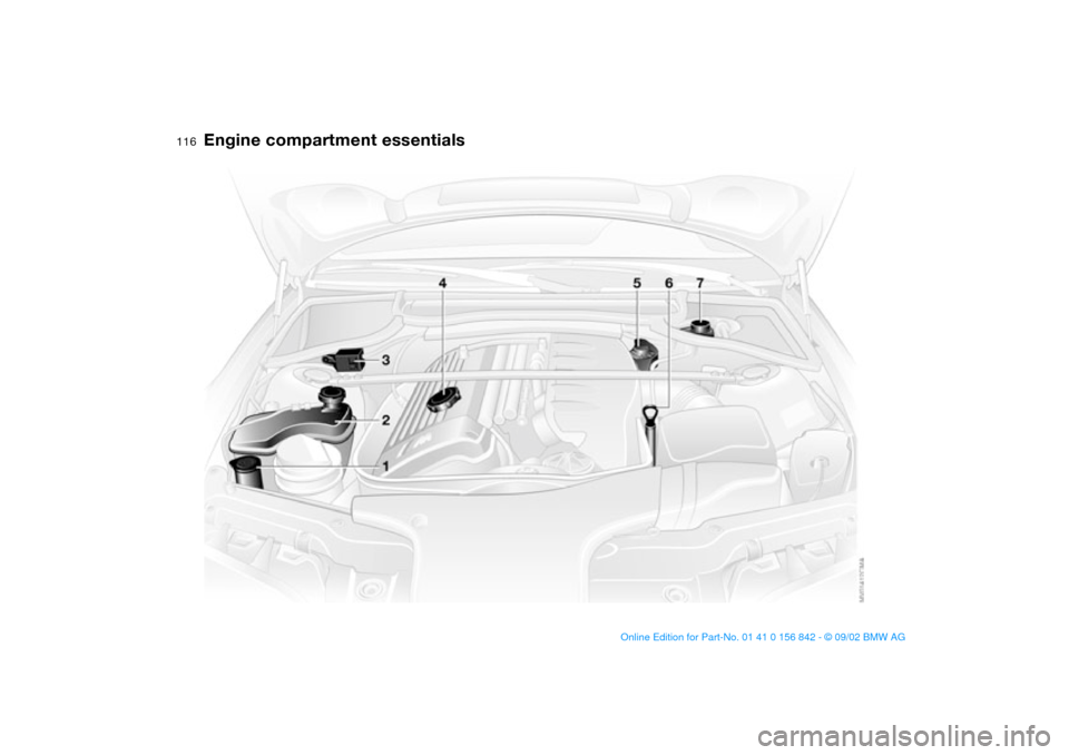BMW M3 COUPE 2003 E46 Owners Guide 116
Engine compartment essentials
handbook.book  Page 116  Saturday, July 27, 2002  1:12 PM 
