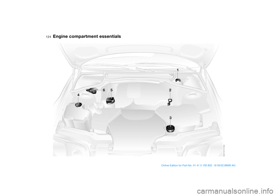 BMW 325i TOURING 2003 E46 Owners Guide 124
Engine compartment essentials
handbook.book  Page 124  Saturday, July 27, 2002  1:36 PM 