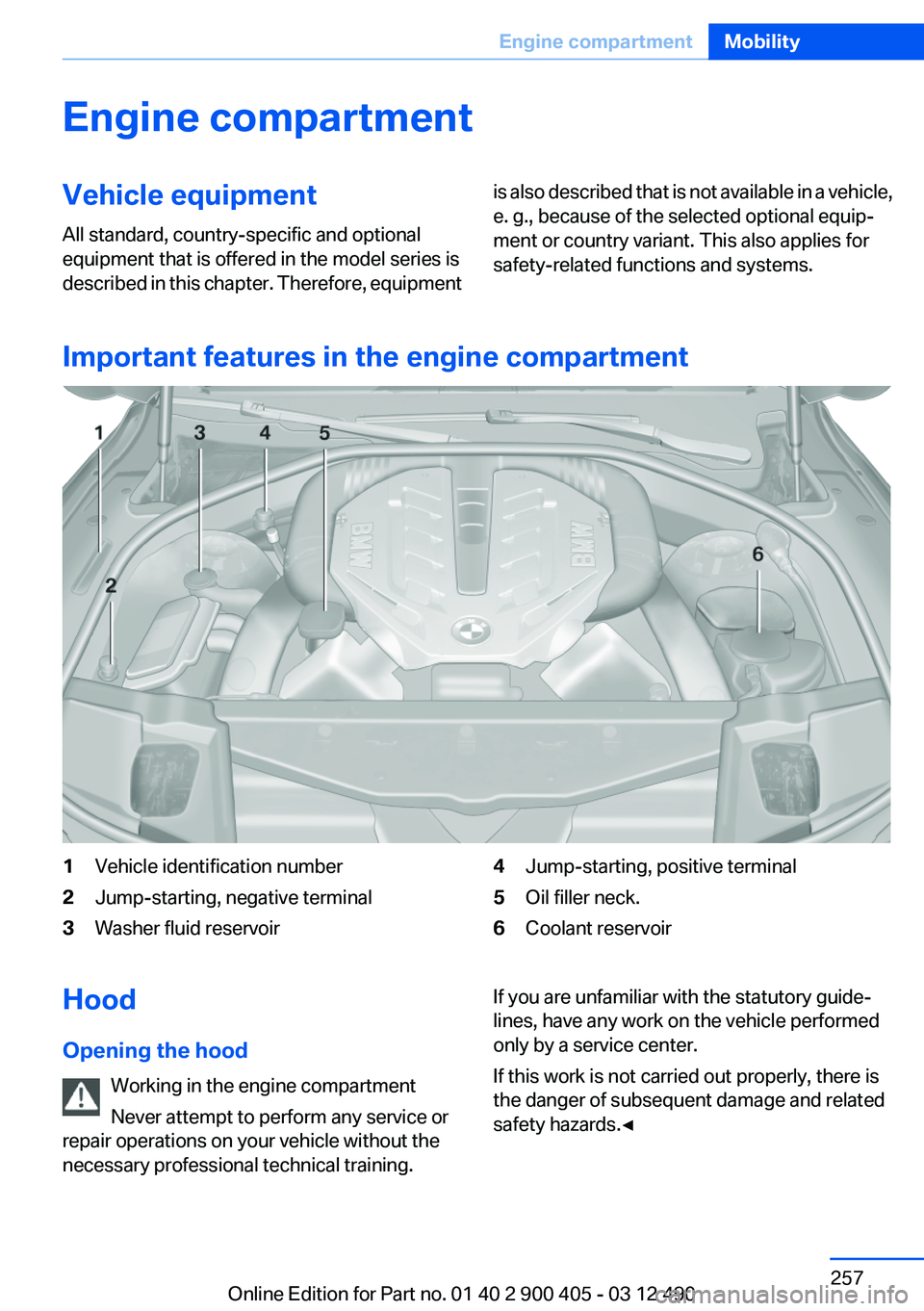 BMW 640I GRAN COUPE 2013  Owners Manual Engine compartmentVehicle equipment
All standard, country-specific and optional
equipment that is offered in the model series is
described in this chapter. Therefore, equipmentis also described that i