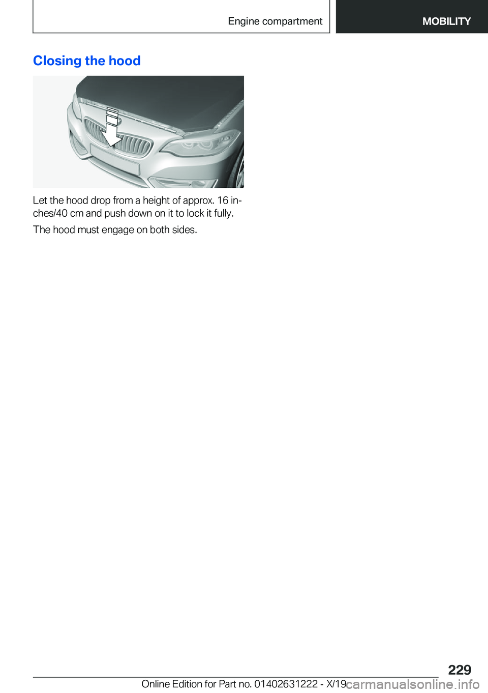BMW M2 2020  Owners Manual �C�l�o�s�i�n�g��t�h�e��h�o�o�d
�L�e�t��t�h�e��h�o�o�d��d�r�o�p��f�r�o�m��a��h�e�i�g�h�t��o�f��a�p�p�r�o�x�.��1�6��i�n#j
�c�h�e�s�/�4�0��c�m��a�n�d��p�u�s�h��d�o�w�n��o�n��i�t��t�o�