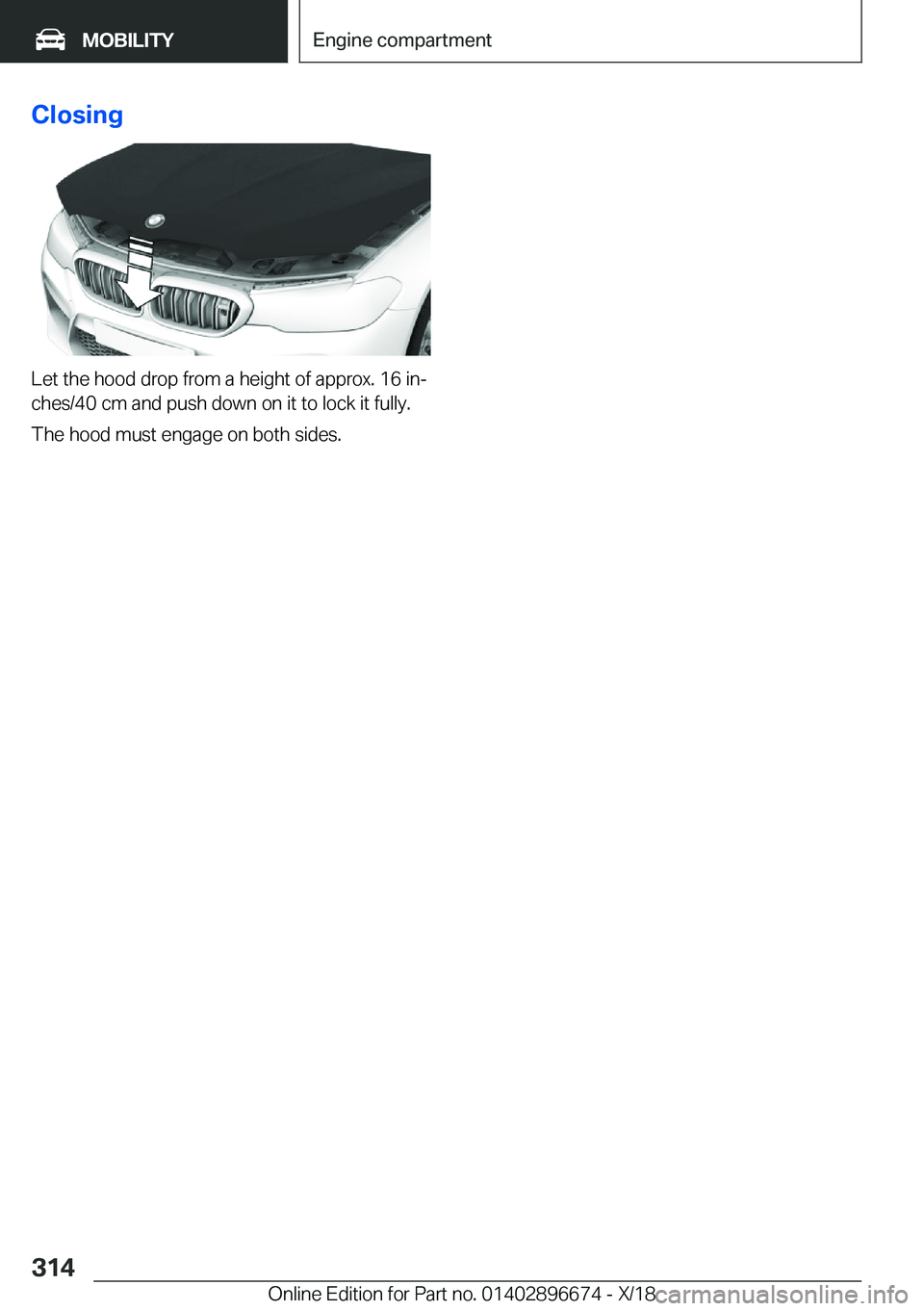 BMW M5 2019  Owners Manual �C�l�o�s�i�n�g
�L�e�t��t�h�e��h�o�o�d��d�r�o�p��f�r�o�m��a��h�e�i�g�h�t��o�f��a�p�p�r�o�x�.��1�6��i�nj
�c�h�e�s�/�4�0��c�m��a�n�d��p�u�s�h��d�o�w�n��o�n��i�t��t�o��l�o�c�k��i�t��f