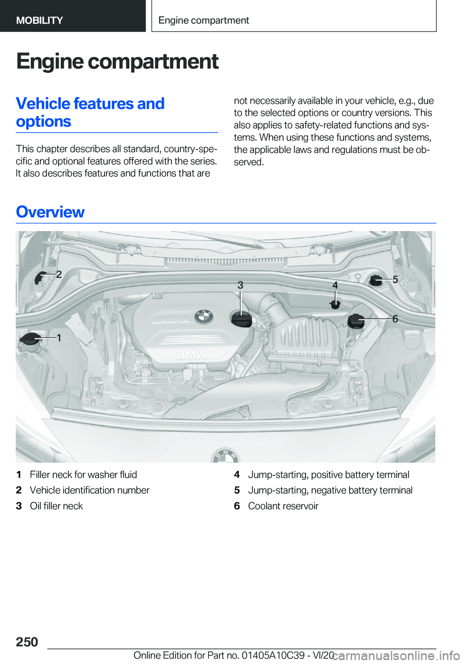 BMW X1 2021  Owners Manual �E�n�g�i�n�e��c�o�m�p�a�r�t�m�e�n�t�V�e�h�i�c�l�e��f�e�a�t�u�r�e�s��a�n�d�o�p�t�i�o�n�s
�T�h�i�s��c�h�a�p�t�e�r��d�e�s�c�r�i�b�e�s��a�l�l��s�t�a�n�d�a�r�d�,��c�o�u�n�t�r�y�-�s�p�e#j�c�i�f�i�c�