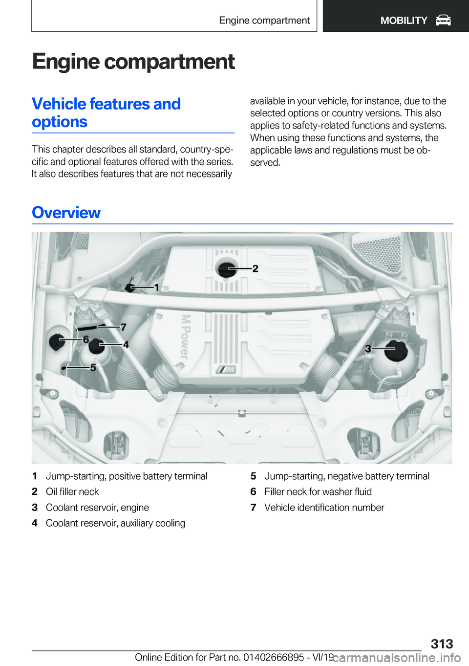 BMW X4 M 2020  Owners Manual �E�n�g�i�n�e��c�o�m�p�a�r�t�m�e�n�t�V�e�h�i�c�l�e��f�e�a�t�u�r�e�s��a�n�d�o�p�t�i�o�n�s
�T�h�i�s��c�h�a�p�t�e�r��d�e�s�c�r�i�b�e�s��a�l�l��s�t�a�n�d�a�r�d�,��c�o�u�n�t�r�y�-�s�p�ej�c�i�f�i�c�