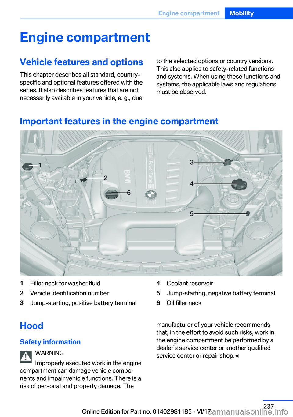 BMW X6 2018  Owners Manual �E�n�g�i�n�e��c�o�m�p�a�r�t�m�e�n�t�V�e�h�i�c�l�e��f�e�a�t�u�r�e�s��a�n�d��o�p�t�i�o�n�s�T�h�i�s� �c�h�a�p�t�e�r� �d�e�s�c�r�i�b�e�s� �a�l�l� �s�t�a�n�d�a�r�d�,� �c�o�u�n�t�r�y�-�s�p�e�c�i�f�i�c� 