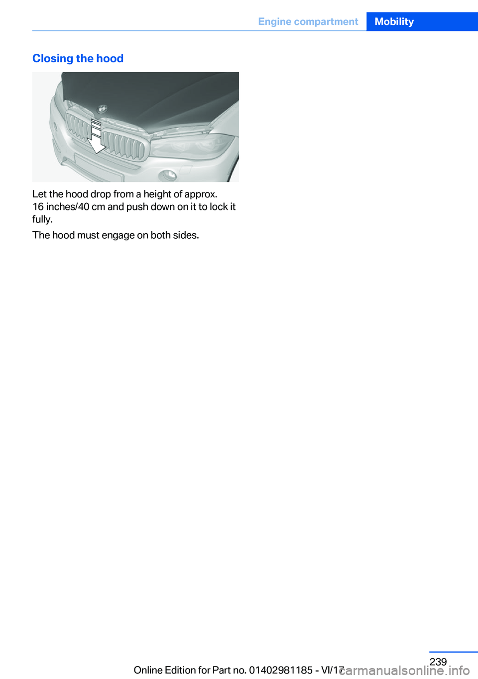 BMW X6 2018  Owners Manual �C�l�o�s�i�n�g��t�h�e��h�o�o�d
�L�e�t� �t�h�e� �h�o�o�d� �d�r�o�p� �f�r�o�m� �a� �h�e�i�g�h�t� �o�f� �a�p�p�r�o�x�.
�1�6� �i�n�c�h�e�s�/�4�0� �c�m� �a�n�d� �p�u�s�h� �d�o�w�n� �o�n� �i�t� �t�o� �l�o