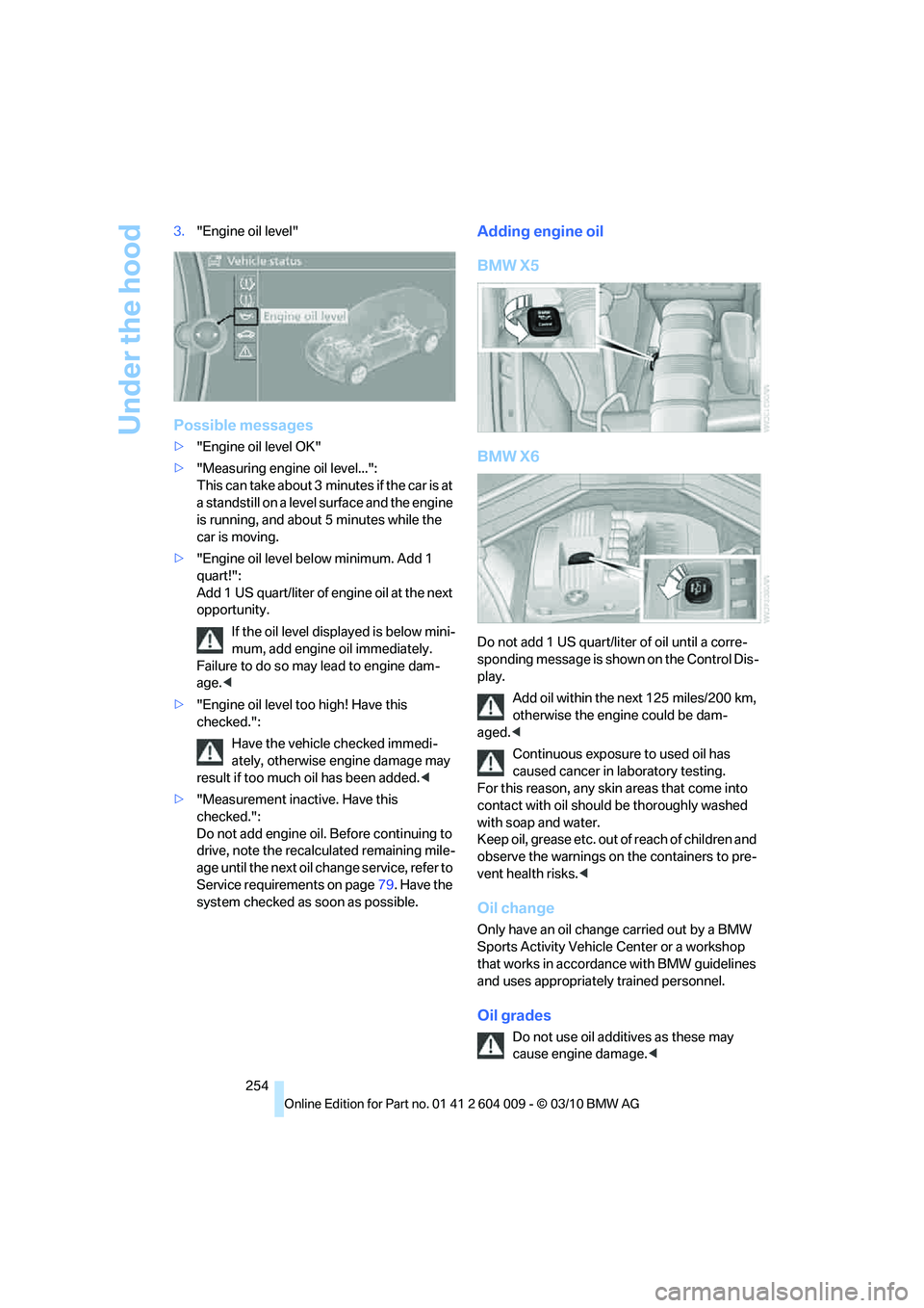 BMW X6 XDRIVE 50I 2011  Owners Manual Under the hood
254 3."Engine oil level"
Possible messages
>"Engine oil level OK"
>"Measuring engine oil level...": 
This can take about 3 minutes if the car is at 
a standstill on a level surface and 