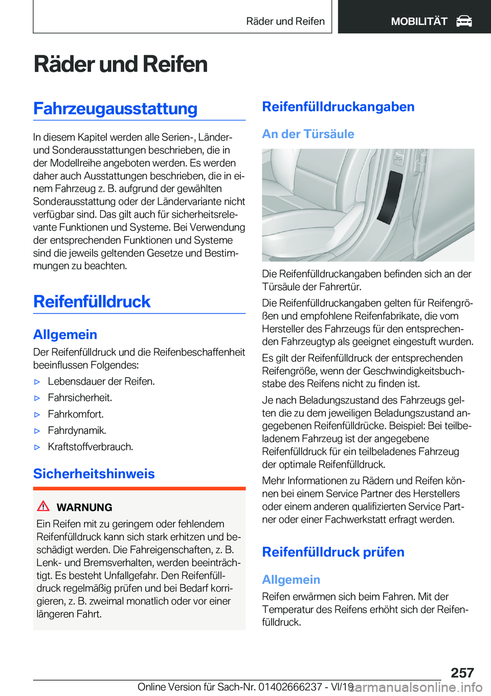 BMW 2 SERIES COUPE 2020  Betriebsanleitungen (in German) �R�