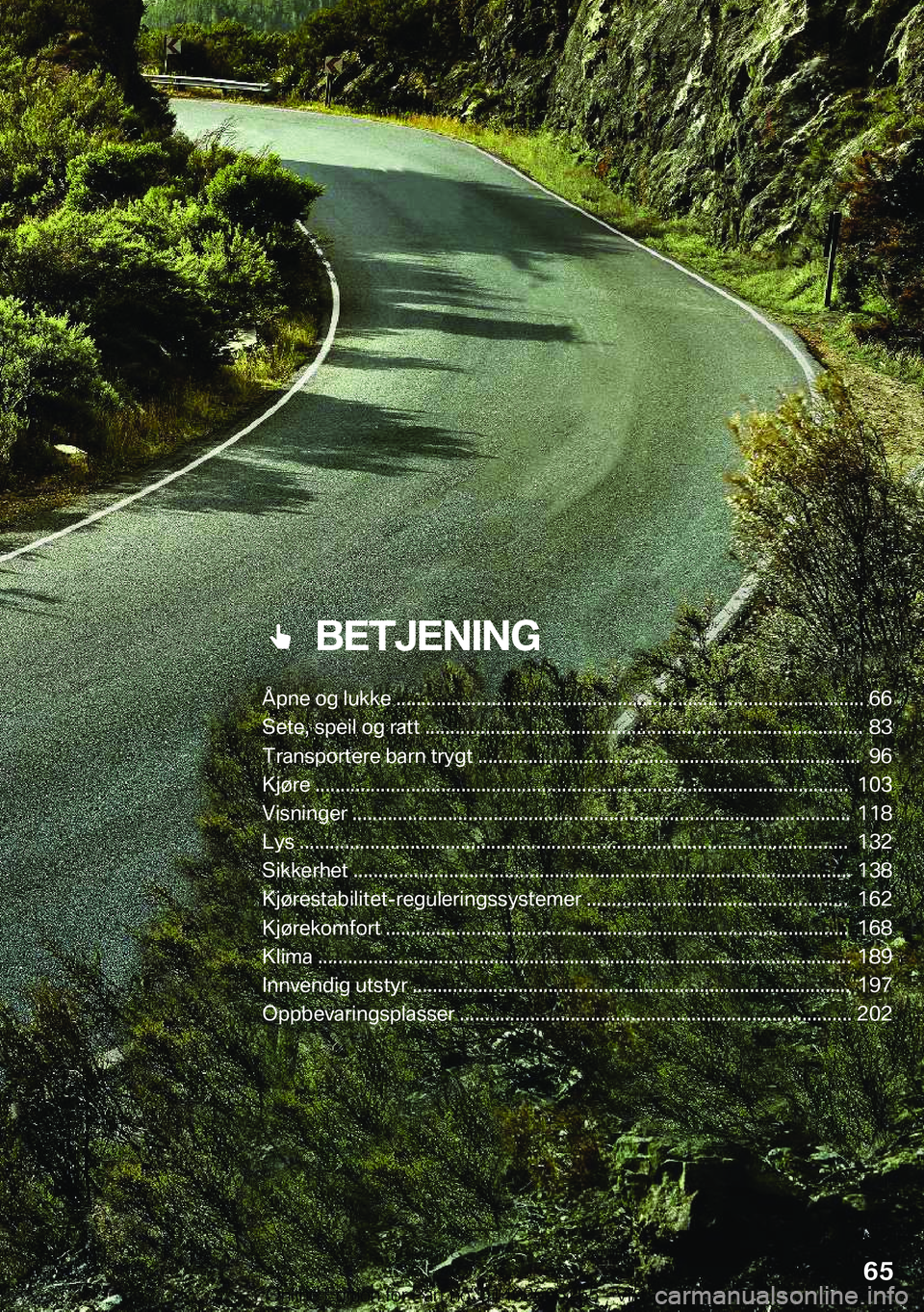 BMW 2 SERIES COUPE 2020  InstruksjonsbØker (in Norwegian) ���B�E�T�J�E�N�I�N�G
�