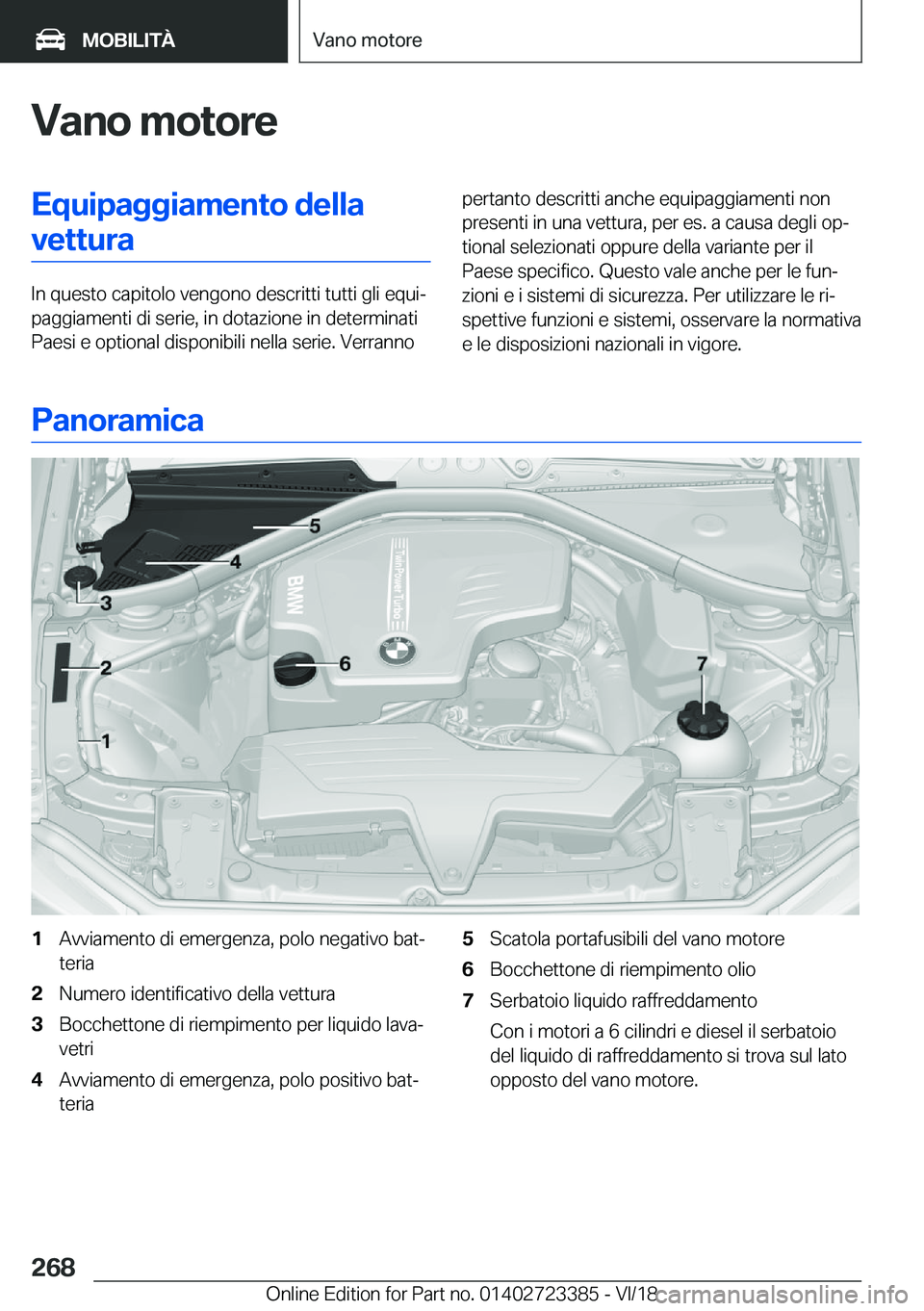 BMW 2 SERIES COUPE 2019  Libretti Di Uso E manutenzione (in Italian) �V�a�n�o��m�o�t�o�r�e�E�q�u�i�p�a�g�g�i�a�m�e�n�t�o��d�e�l�l�a�v�e�t�t�u�r�a
�I�n��q�u�e�s�t�o��c�a�p�i�t�o�l�o��v�e�n�g�o�n�o��d�e�s�c�r�i�t�t�i��t�u�t�t�i��g�l�i��e�q�u�iª
�p�a�g�g�i�a�m�