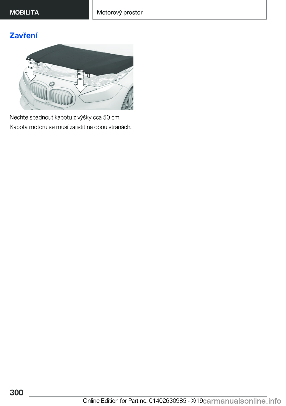 BMW 2 SERIES GRAN COUPE 2020  Návod na použití (in Czech) �Z�a�v�e�n�