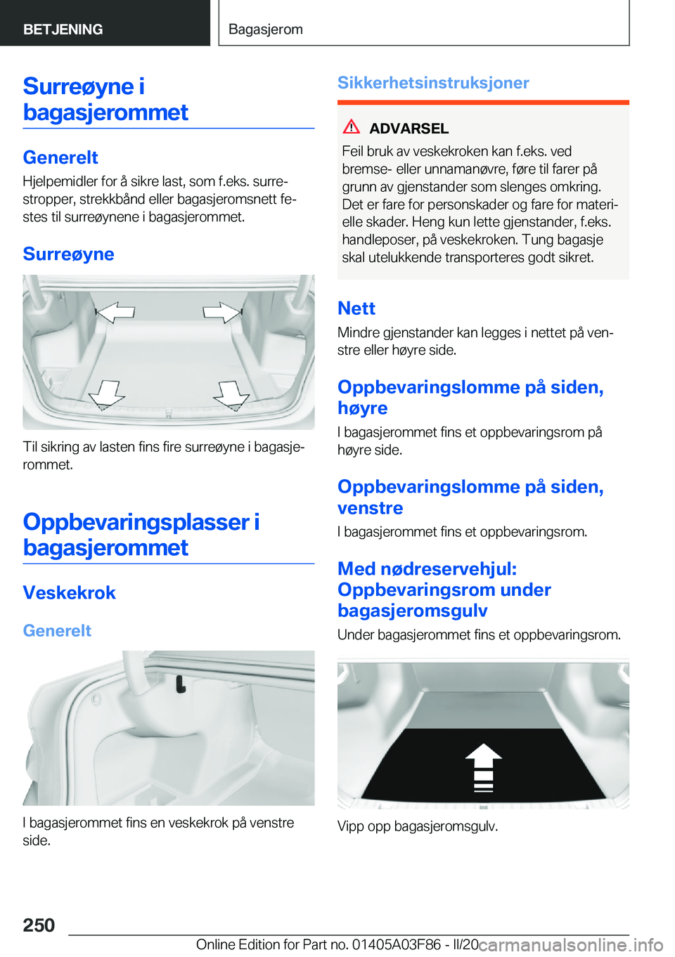 BMW 3 SERIES 2020  InstruksjonsbØker (in Norwegian) �S�u�r�r�e�