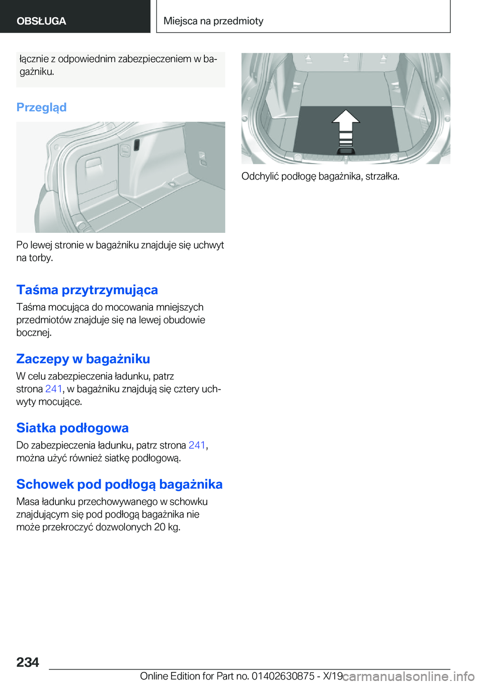 BMW 4 SERIES GRAN COUPE 2020  Instrukcja obsługi (in Polish) �ł�