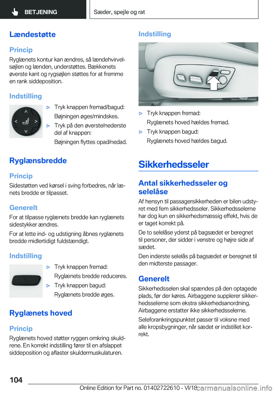 BMW 5 SERIES 2019  InstruktionsbØger (in Danish) �L�æ�n�d�e�s�t�