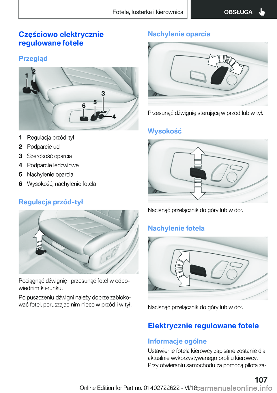 BMW 5 SERIES 2019  Instrukcja obsługi (in Polish) �C�z�