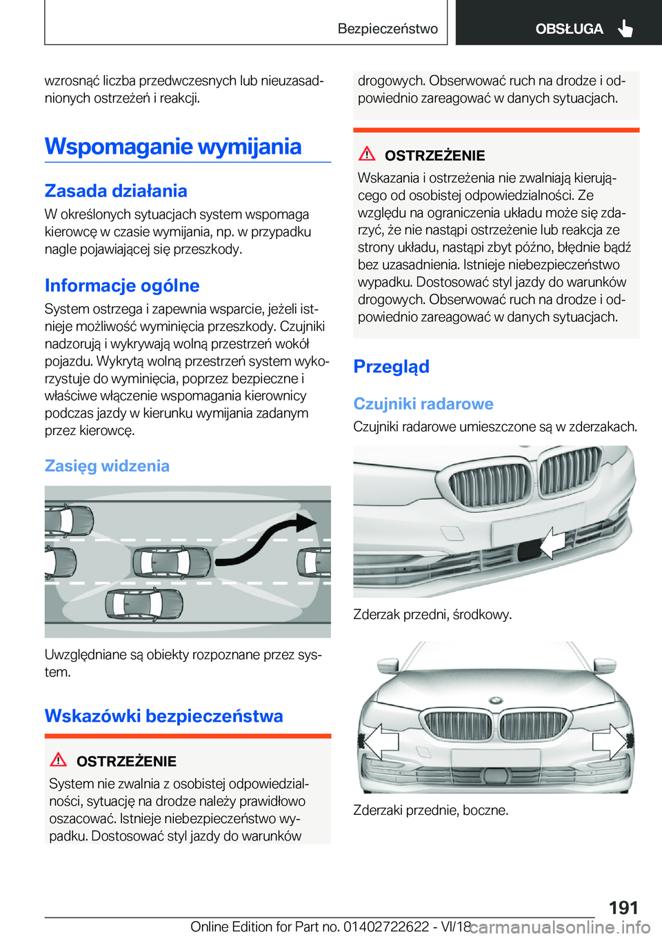 BMW 5 SERIES 2019  Instrukcja obsługi (in Polish) �w�z�r�o�s�n�