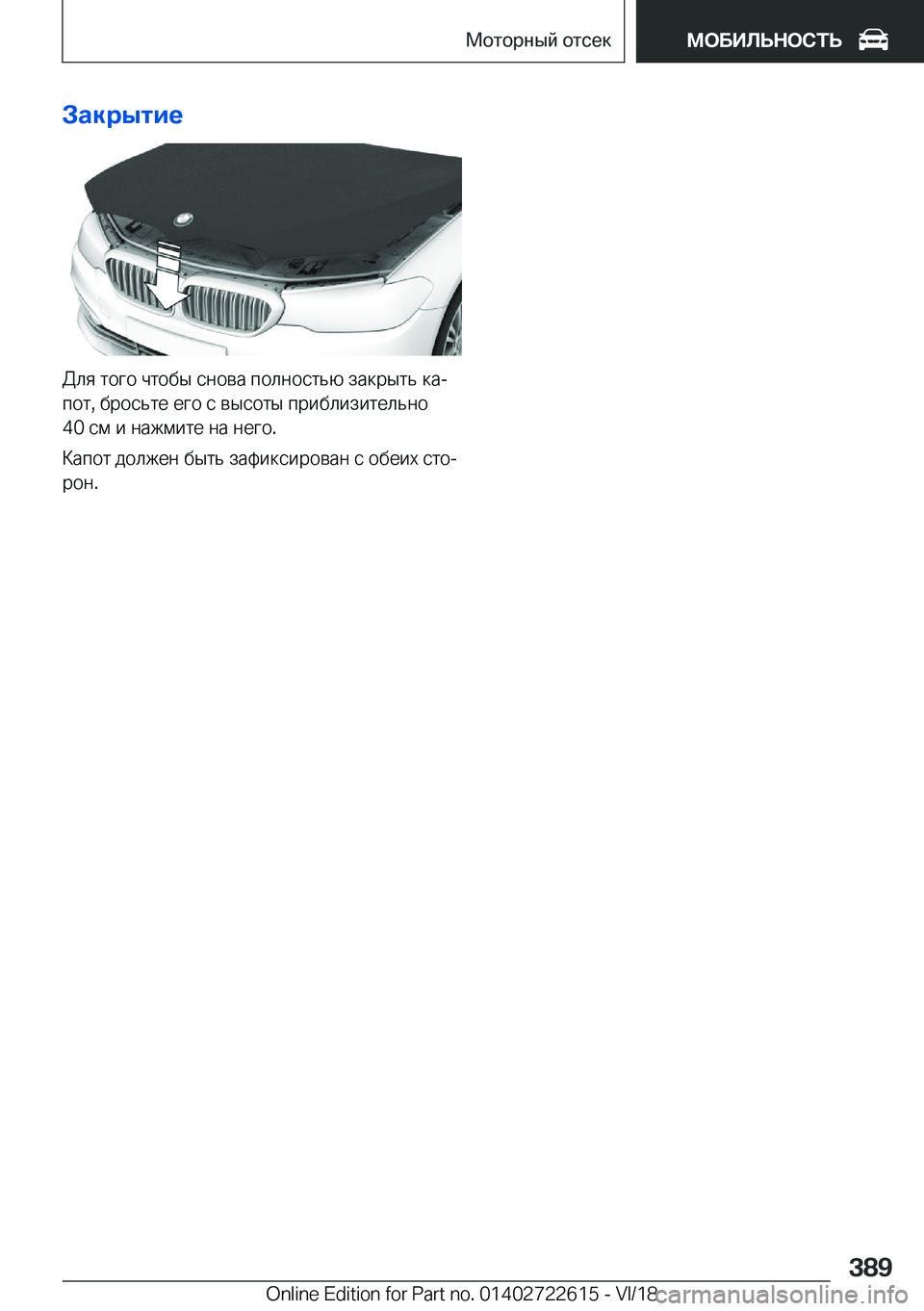 BMW 5 SERIES 2019  Руково 