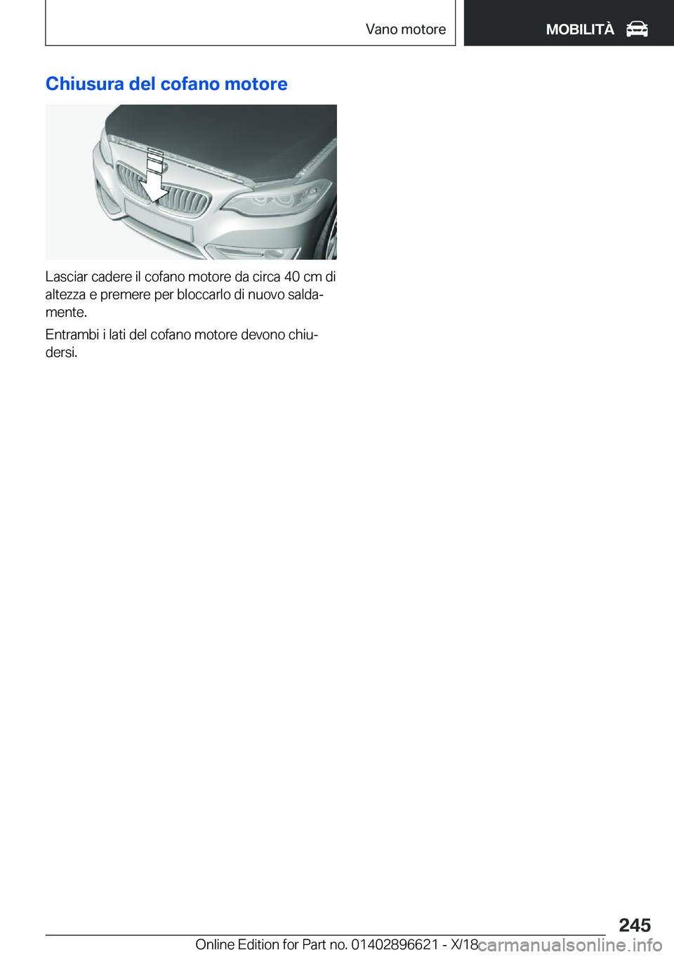 BMW M2 2019  Libretti Di Uso E manutenzione (in Italian) �C�h�i�u�s�u�r�a��d�e�l��c�o�f�a�n�o��m�o�t�o�r�e
�L�a�s�c�i�a�r��c�a�d�e�r�e��i�l��c�o�f�a�n�o��m�o�t�o�r�e��d�a��c�i�r�c�a��4�0��c�m��d�i
�a�l�t�e�z�z�a��e��p�r�e�m�e�r�e��p�e�r��b�l