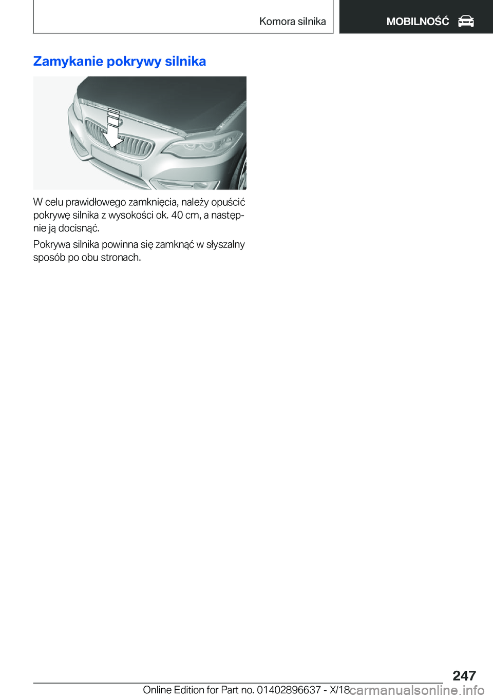 BMW M2 2019  Instrukcja obsługi (in Polish) �Z�a�m�y�k�a�n�i�e��p�o�k�r�y�w�y��s�i�l�n�i�k�a
�W��c�e�l�u��p�r�a�w�i�d�ł�o�w�e�g�o��z�a�m�k�n�i�