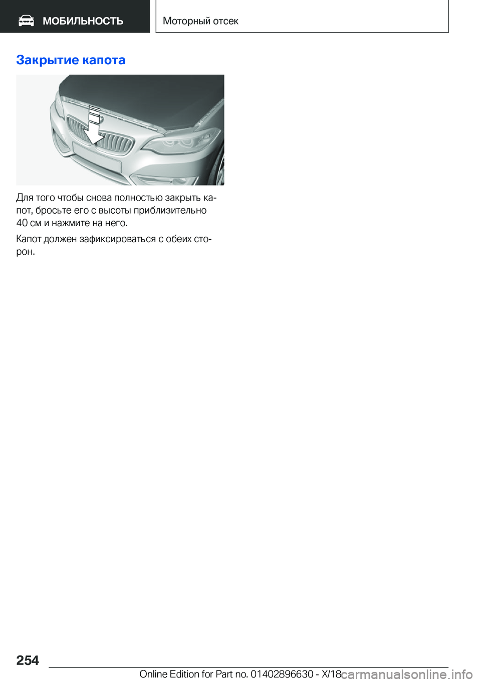 BMW M2 2019  Руково 