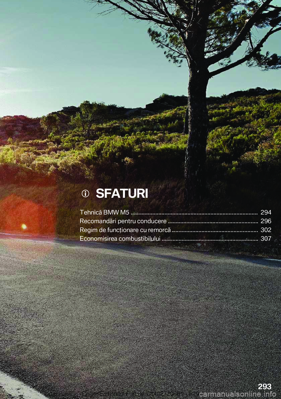 BMW M5 2019  Ghiduri De Utilizare (in Romanian) ���S�F�A�T�U�R�I
�T�e�h�n�i�c�
