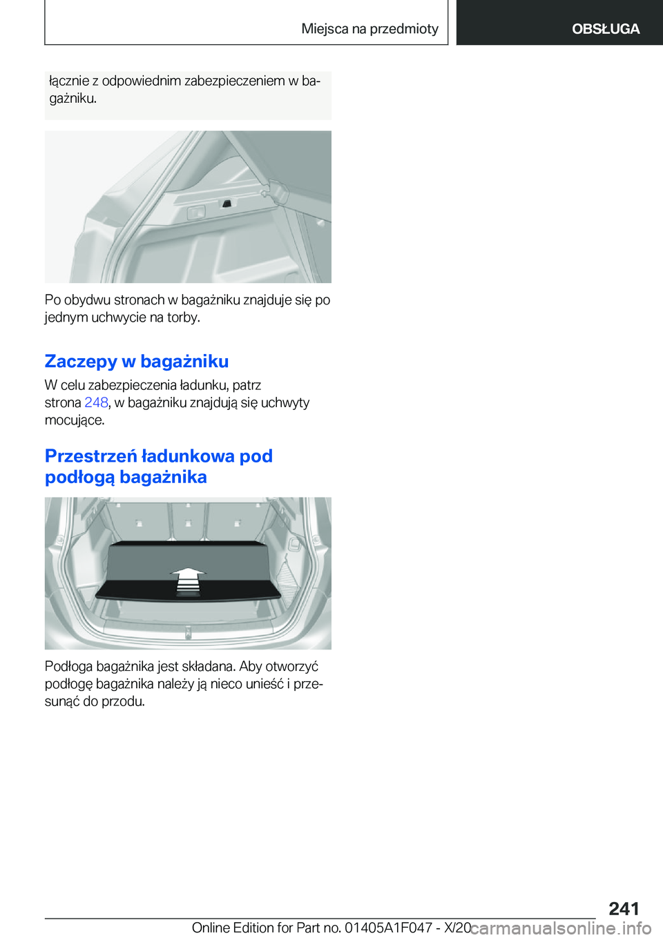 BMW X1 2021  Instrukcja obsługi (in Polish) �ł�