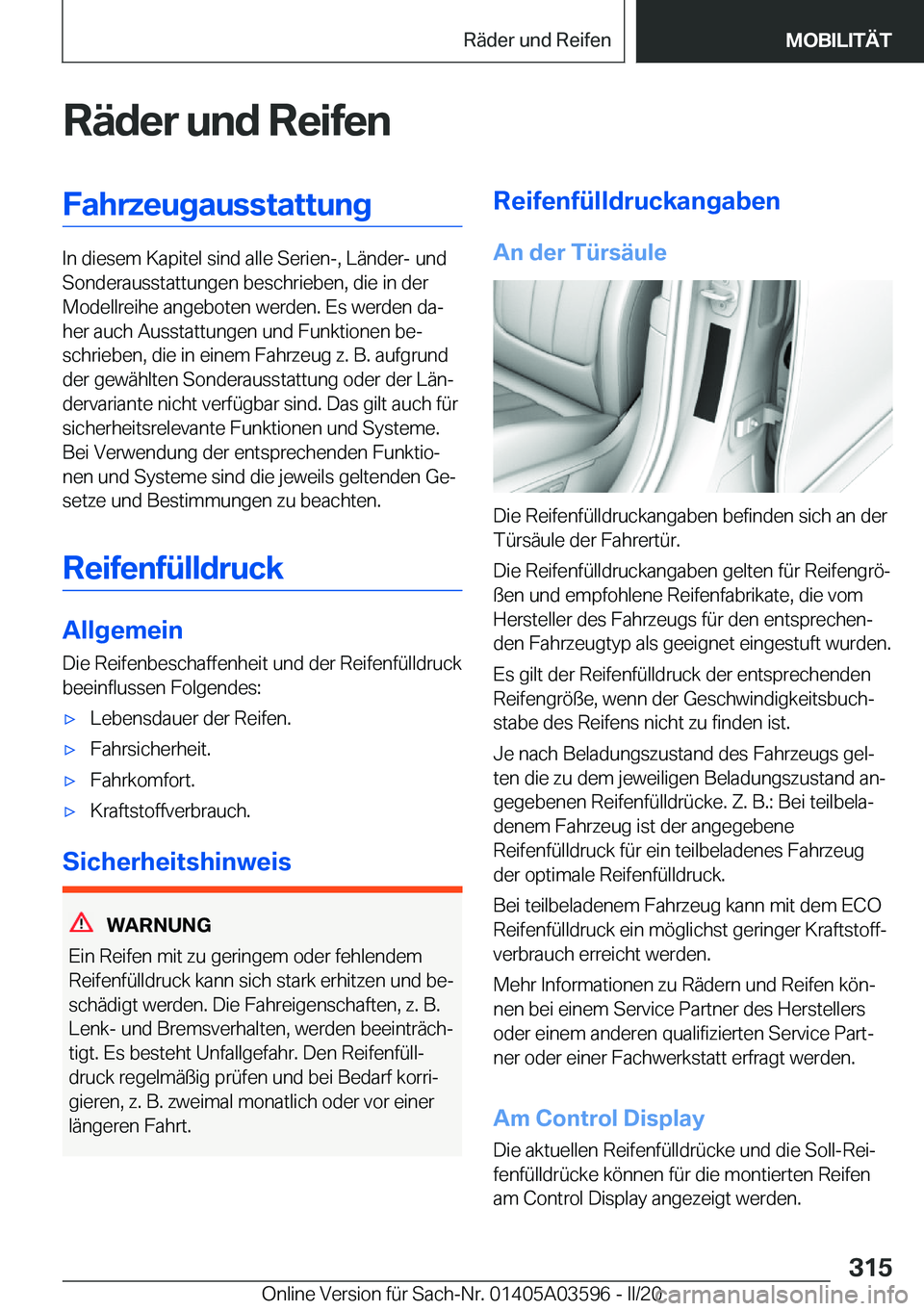 BMW X4 2020  Betriebsanleitungen (in German) �R�
