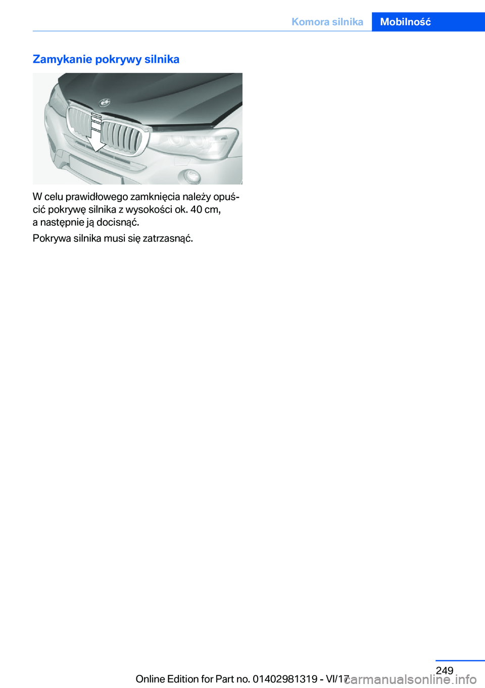 BMW X4 2018  Instrukcja obsługi (in Polish) �Z�a�m�y�k�a�n�i�e��p�o�k�r�y�w�y��s�i�l�n�i�k�a
�W� �c�e�l�u� �p�r�a�w�i�d�ł�o�w�e�g�o� �z�a�m�k�n�i�