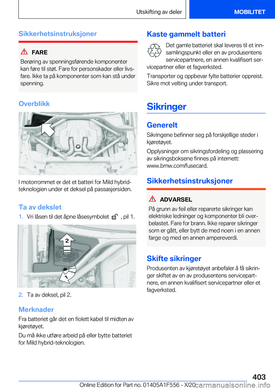 BMW X5 2021  InstruksjonsbØker (in Norwegian) �S�i�k�k�e�r�h�e�t�s�i�n�s�t�r�u�k�s�j�o�n�e�r
�F�A�R�E
�B�e�r�