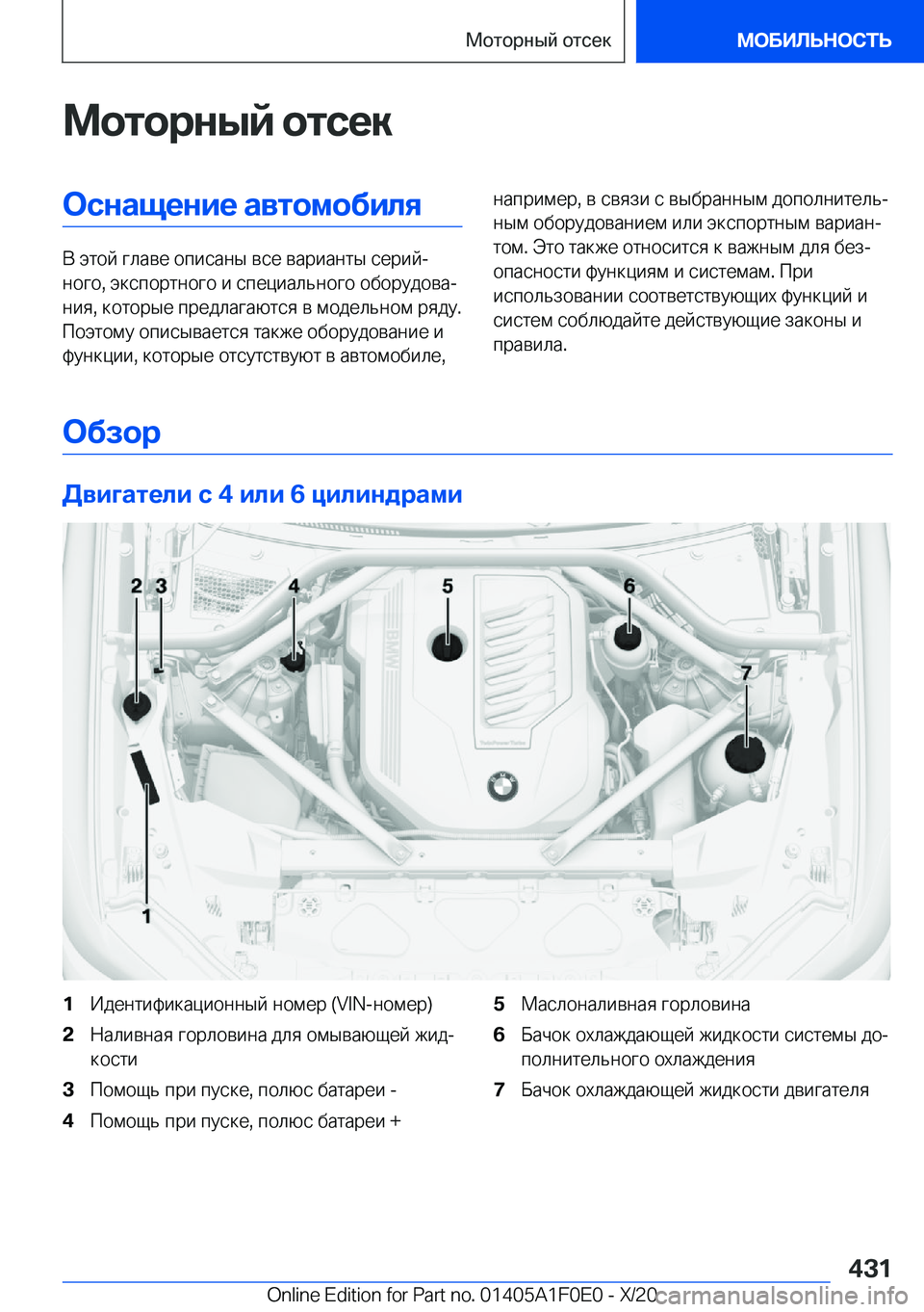 BMW X6 2021  Руково 