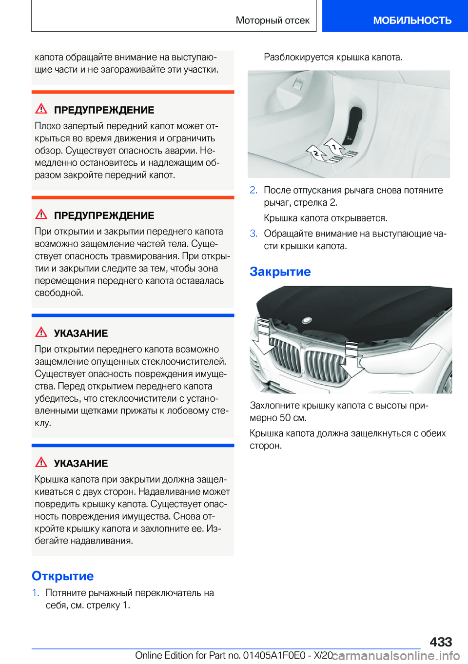 BMW X6 2021  Руково  