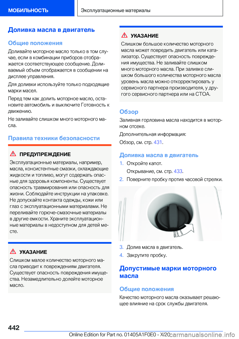 BMW X6 2021  Руково 