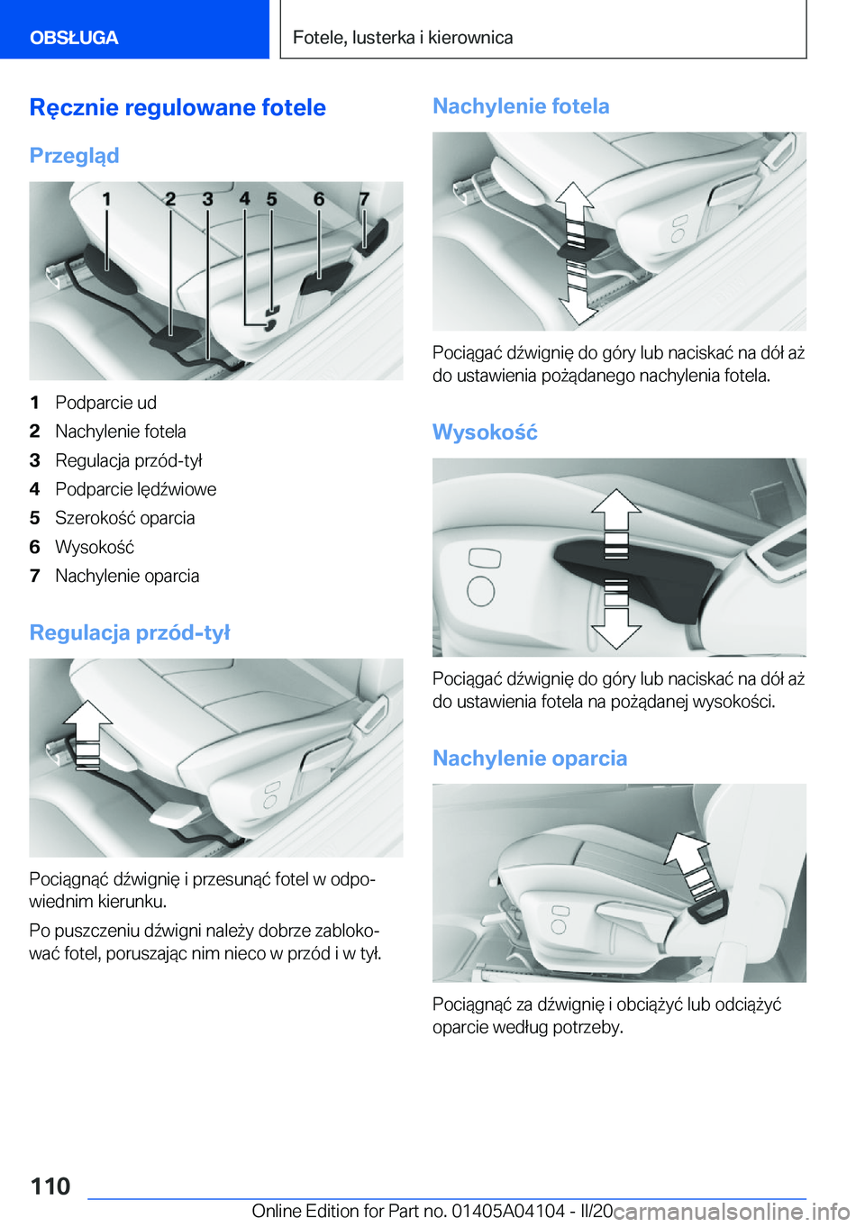 BMW Z4 2020  Instrukcja obsługi (in Polish) �R�
