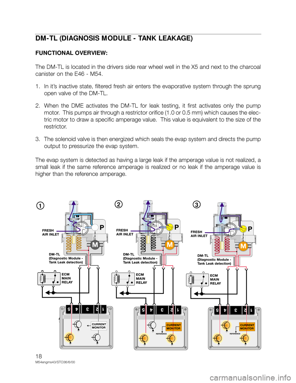 BMW X5 2002 E53 M54 Engine User Guide 18
M54engms43/STO36/6/00
123
DM-TL (DIAGNOSIS MODULE - TANK LEAKAGE)
FUNCTIONAL OVERVIEW:
The DM-TL is located in the drivers side rear wheel well in the X5 and next to the charcoal
canister on the E4