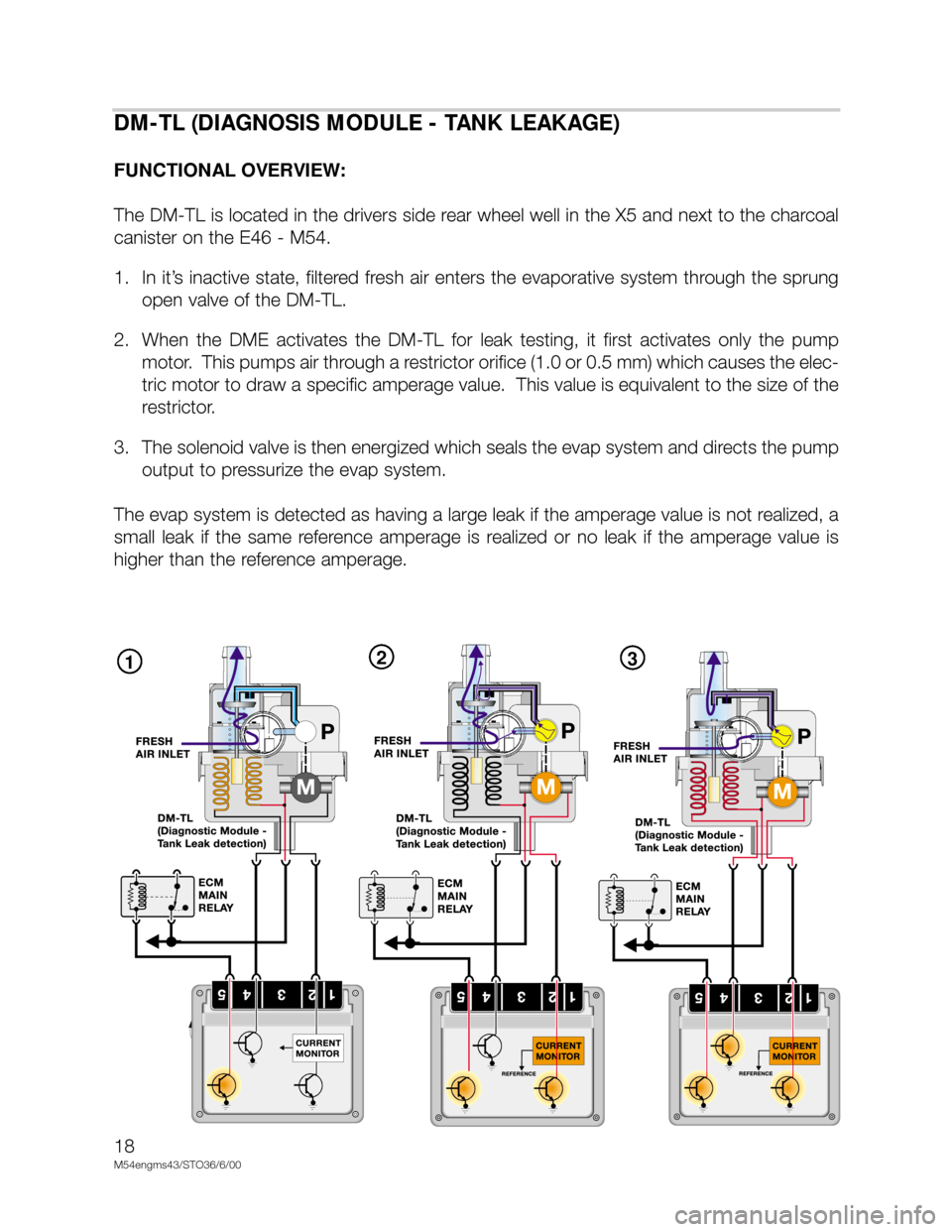 BMW X5 2002 E53 M54 Engine User Guide 18
M54engms43/STO36/6/00
123
DM-TL (DIAGNOSIS MODULE - TANK LEAKAGE)
FUNCTIONAL OVERVIEW:
The DM-TL is located in the drivers side rear wheel well in the X5 and next to the charcoal
canister on the E4